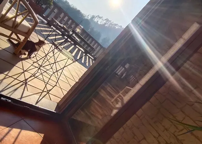 فيلة Con Encanto En